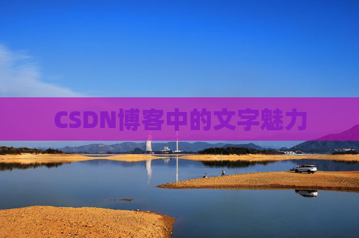 CSDN博客中的文字魅力